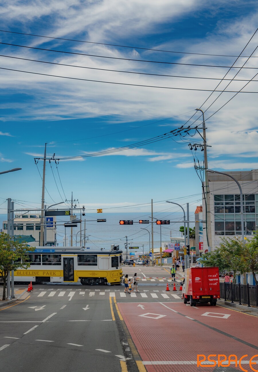 올해 찍은 사진들 (스압 65장)_42.jpeg