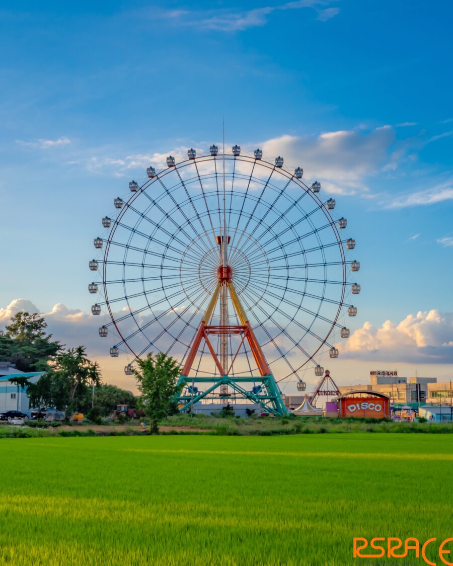 올해 찍은 사진들 (스압 65장)_52.jpeg