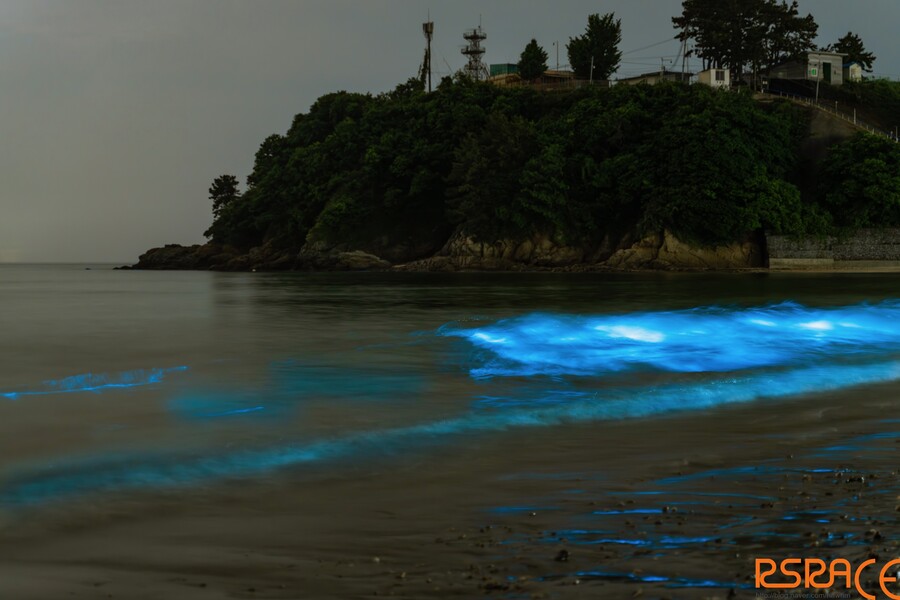 올해 찍은 사진들 (스압 65장)_53.jpeg