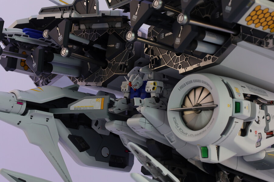 [HG] 덴드로비움_10.jpg