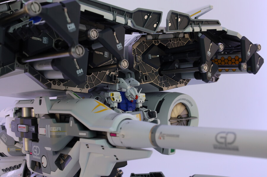 [HG] 덴드로비움_14.jpg