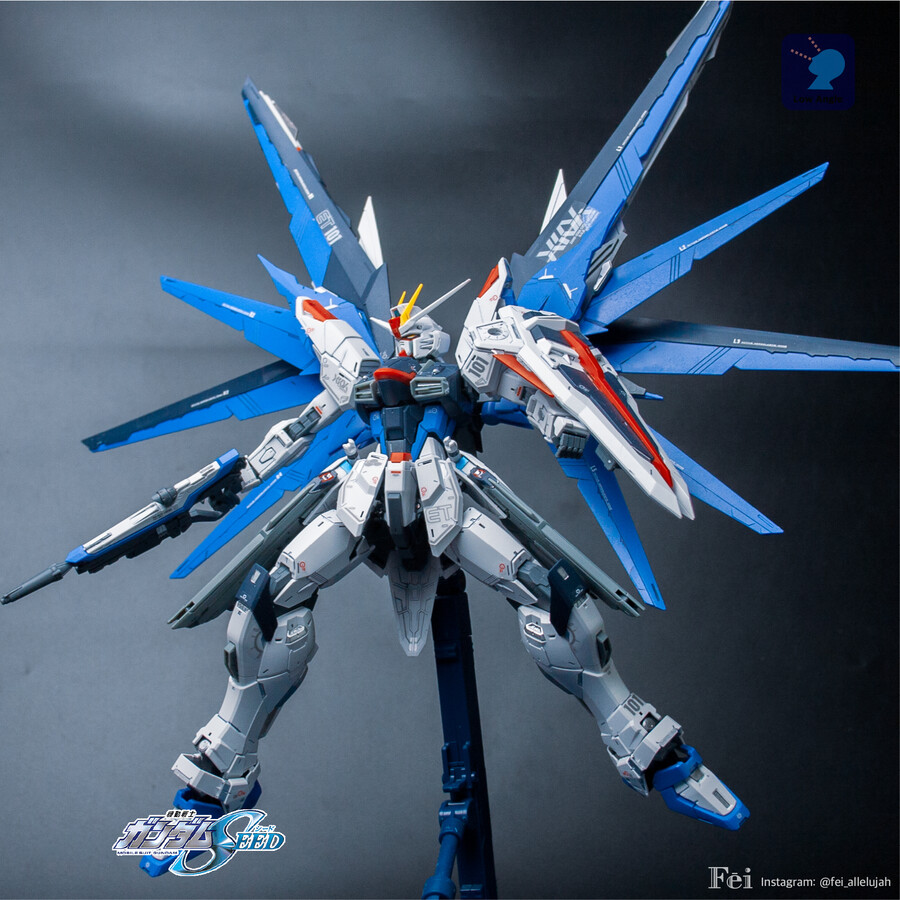 MG 프리덤 건담 ver 20