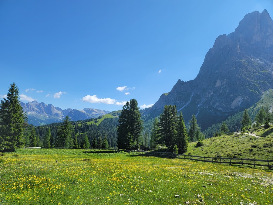 어머니 모시고 알프스 여행 20~21일차, 사쏘 룽고-포르도이 그리고 집으로_23.jpg