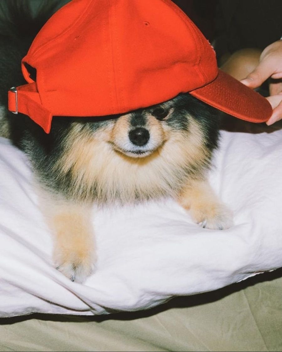 BTS) 뷔 근황_3.jpg