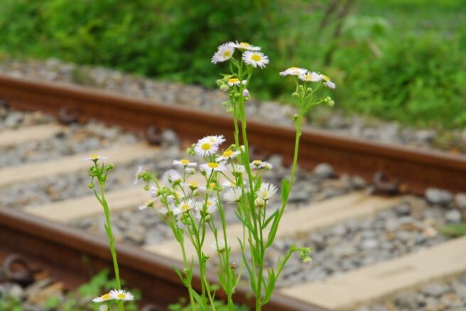 그래도 청춘_1.jpg