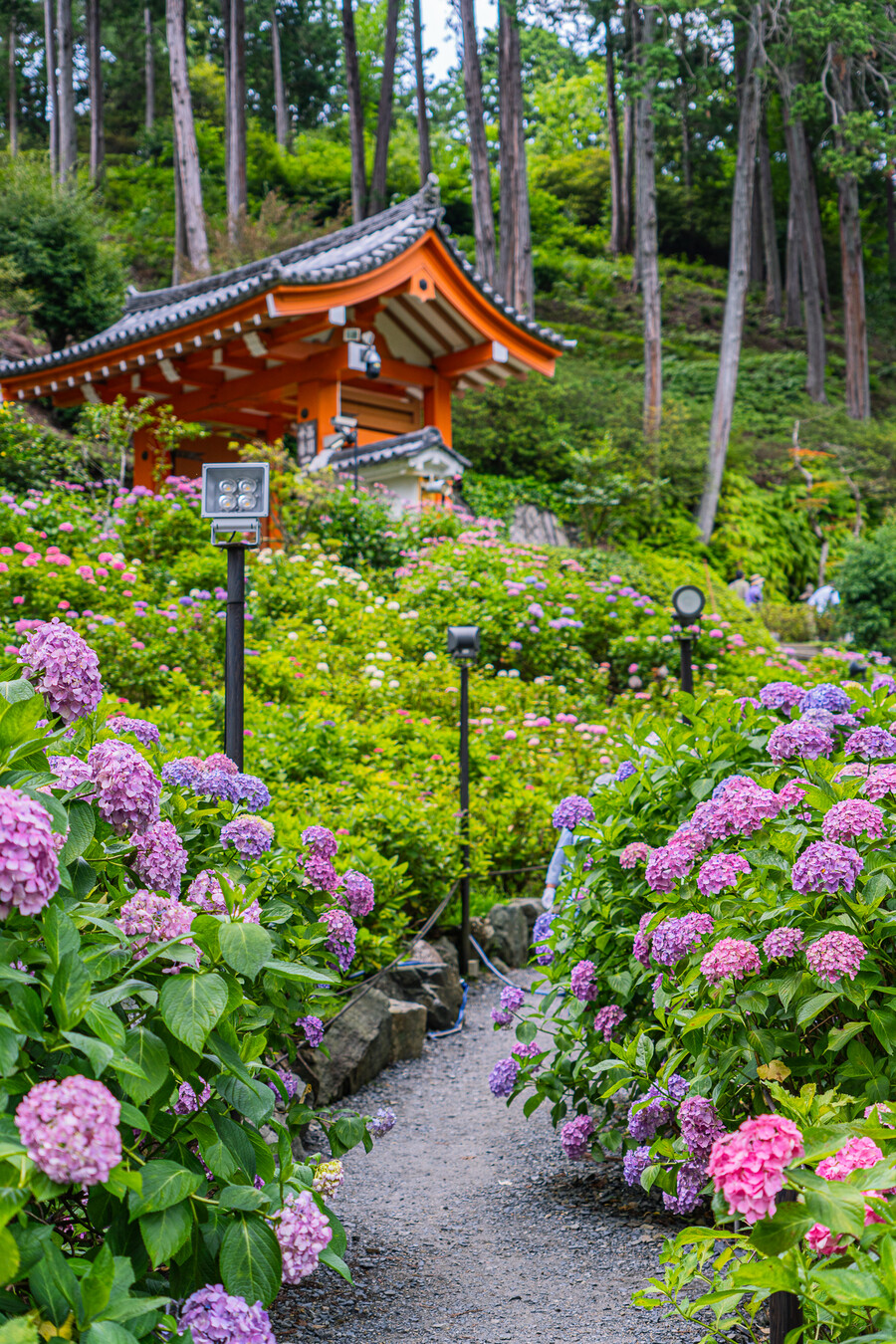 일본 외노자의 1년 기록 (55장)_3.jpg