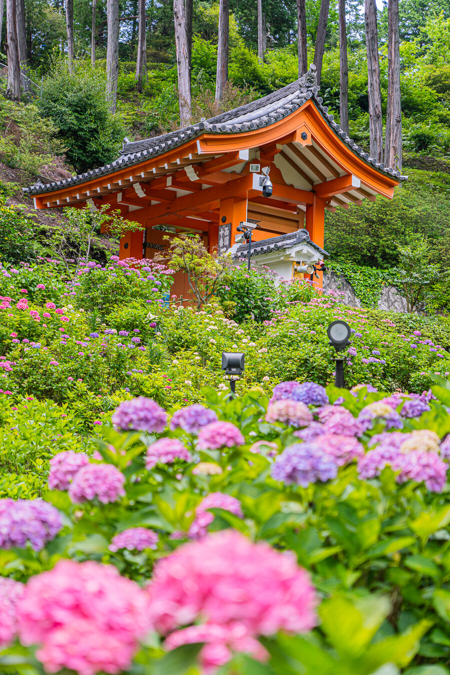 일본 외노자의 1년 기록 (55장)_4.jpg