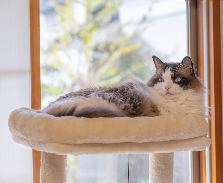 일본 외노자의 1년 기록 (55장)_29.jpg