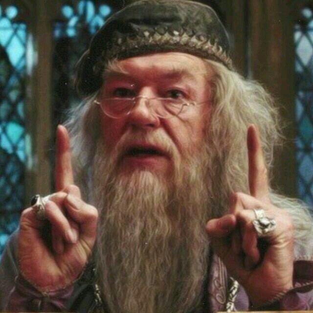 해리포터) "느그 정부 꼬라지가 유머다 법사새끼들아"_21.jpg