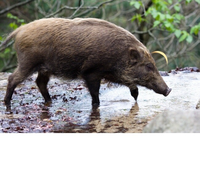 페그오) 캐트리아의 새로운 별명_1.jpg