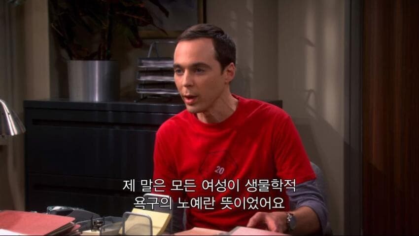 빅뱅이론) 노예녀 드립_2.jpg