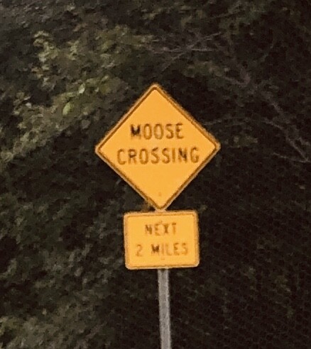 버몬트에 있는 벤앤제리 공장을 가보쟈 (스압)_5.jpg