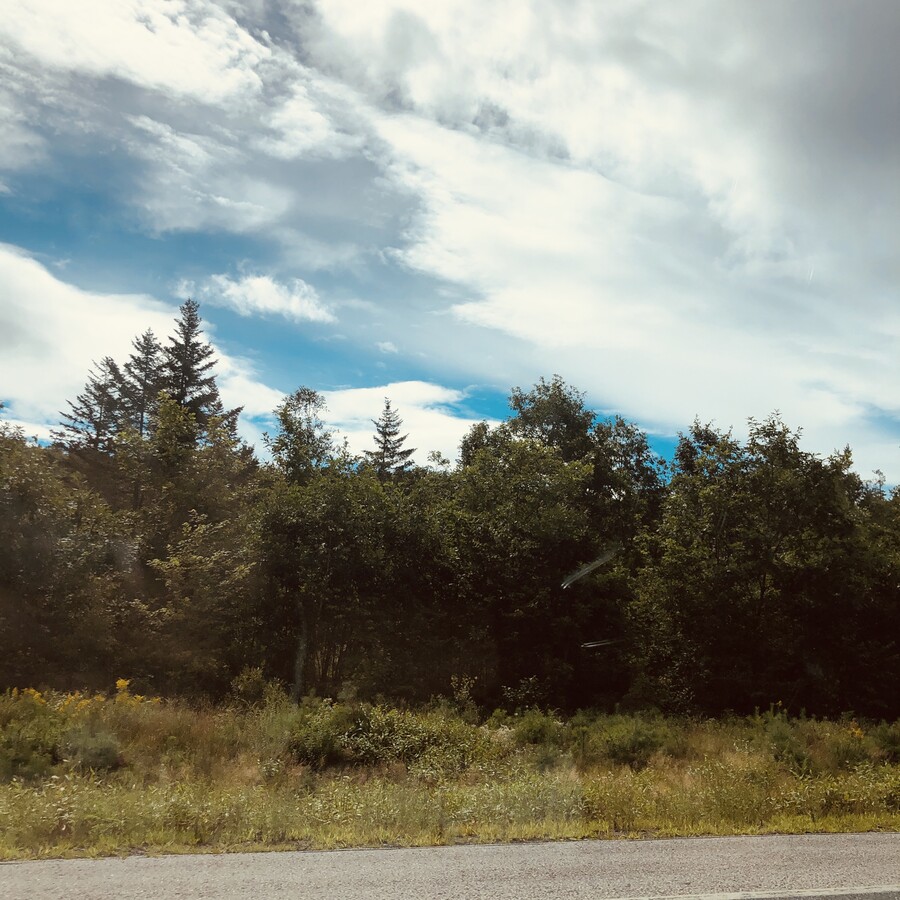 버몬트에 있는 벤앤제리 공장을 가보쟈 (스압)_3.jpg