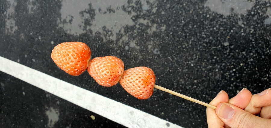 (퀴즈) 이 과일은 얼마일까요?_1.jpg