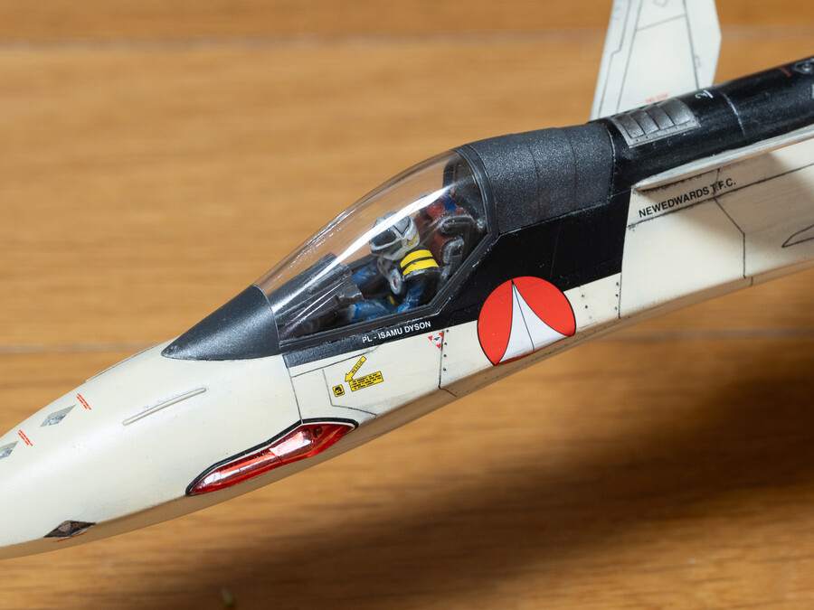 Hasegawa 1/48 YF-19 (마크로스 플러스)_2.jpg
