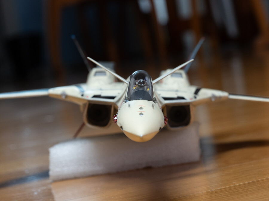 Hasegawa 1/48 YF-19 (마크로스 플러스)_5.jpg