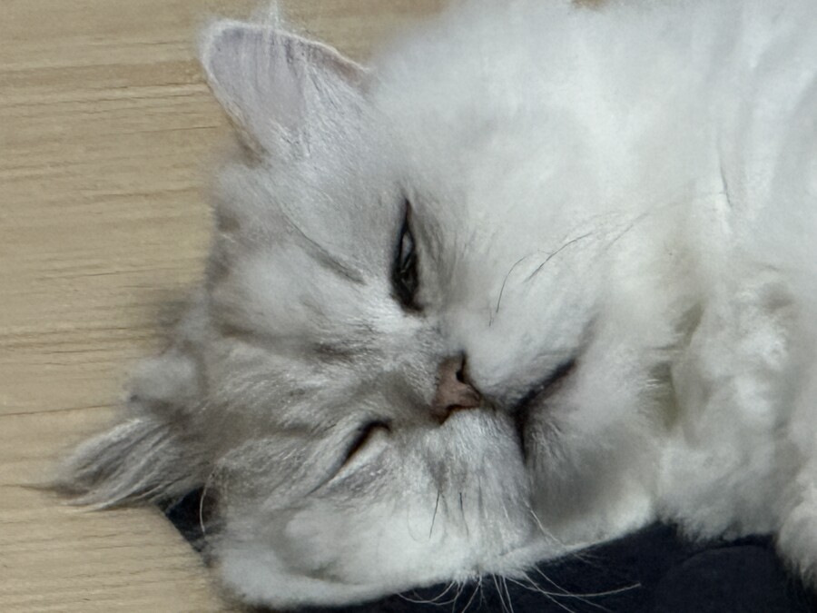 피시방.........가즈아............._1.jpg