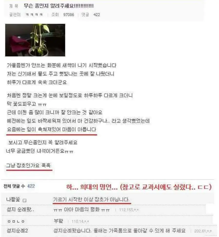 교과서에도 실린 DC덧글 .jpg_1.webp