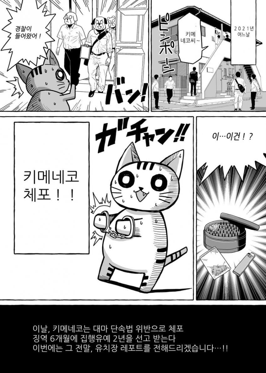대마 피다가 잡혀들어간 만화가 만화.manhwa_1.jpg