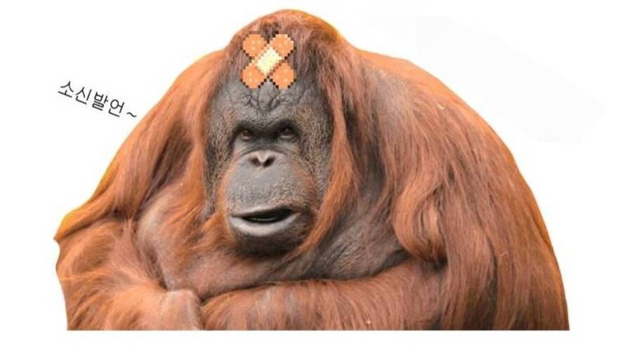 메카닉)솔직히 무한궤도 위에 인간형 상체 달아놓은 거 너무 못생겻다!_1.jpg