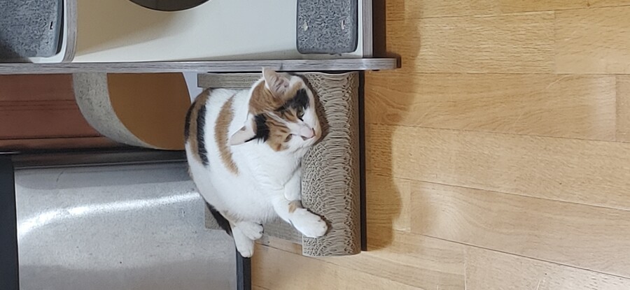 화제의 그것을 달린다!!!_3.jpg