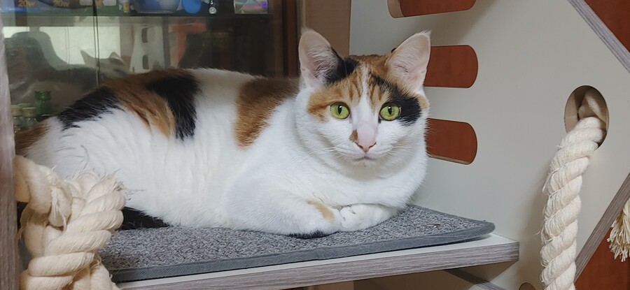 화제의 그것을 달린다!!!_8.jpg