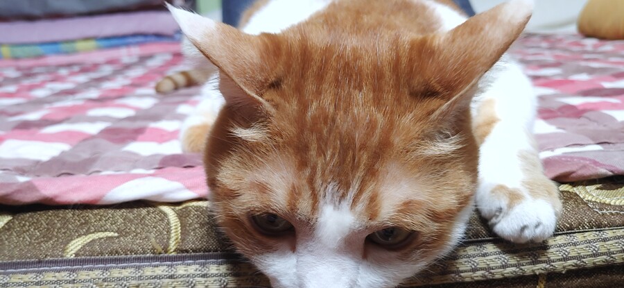 화제의 그것을 달린다!!!_6.jpg