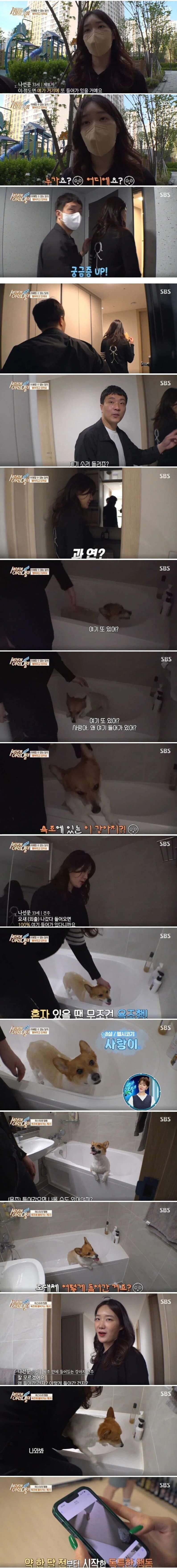 욕조너무조아 댕댕이_1.jpeg