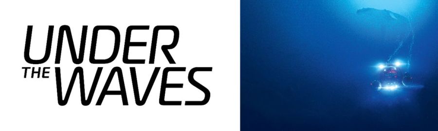 프로젝트 무겐 TGS 2023 출전 및 넷이즈 게임 신작 TGS 첫날에 발표_4.jpg