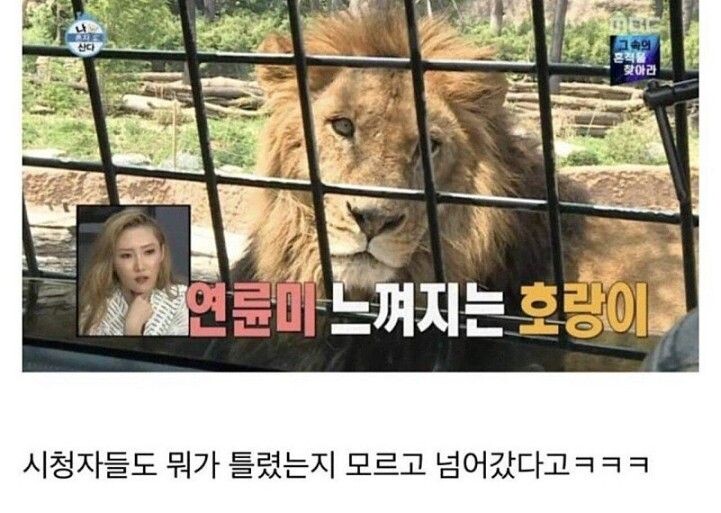 퀴즈) 나혼자산다. 모두가 넘어갓다는 방송사고 (?)_1.jpg