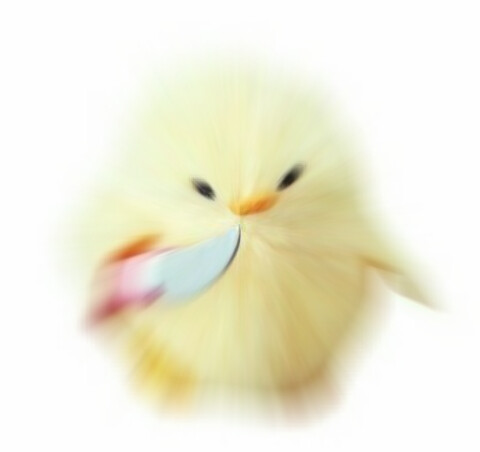 오싹오싹 택견 근현대사 7편 - 통합 대회와 대한택견연맹의 체육회 가입 -_22.jpeg