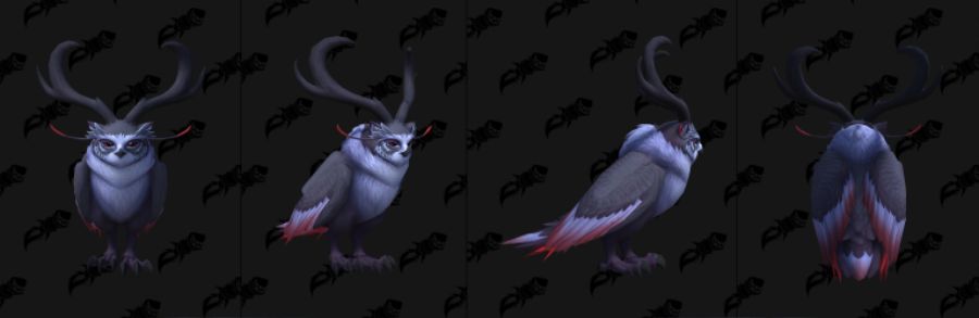 와우 용군단 10.2 신규 이세라, 피락 및 드루이드 커스터마이징 39종 추가_17.jpg