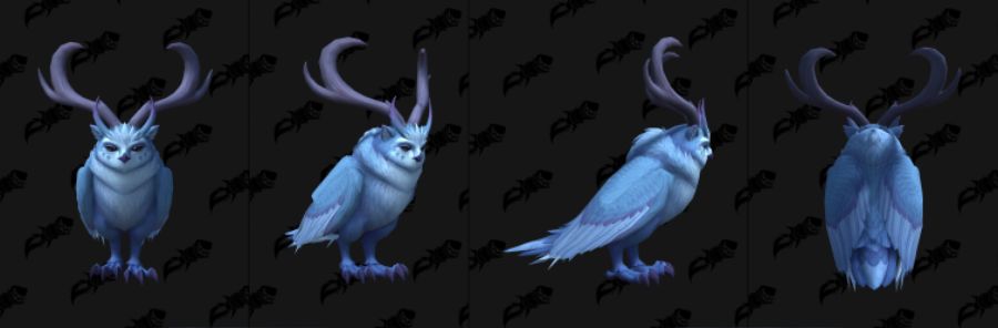 와우 용군단 10.2 신규 이세라, 피락 및 드루이드 커스터마이징 39종 추가_20.jpg