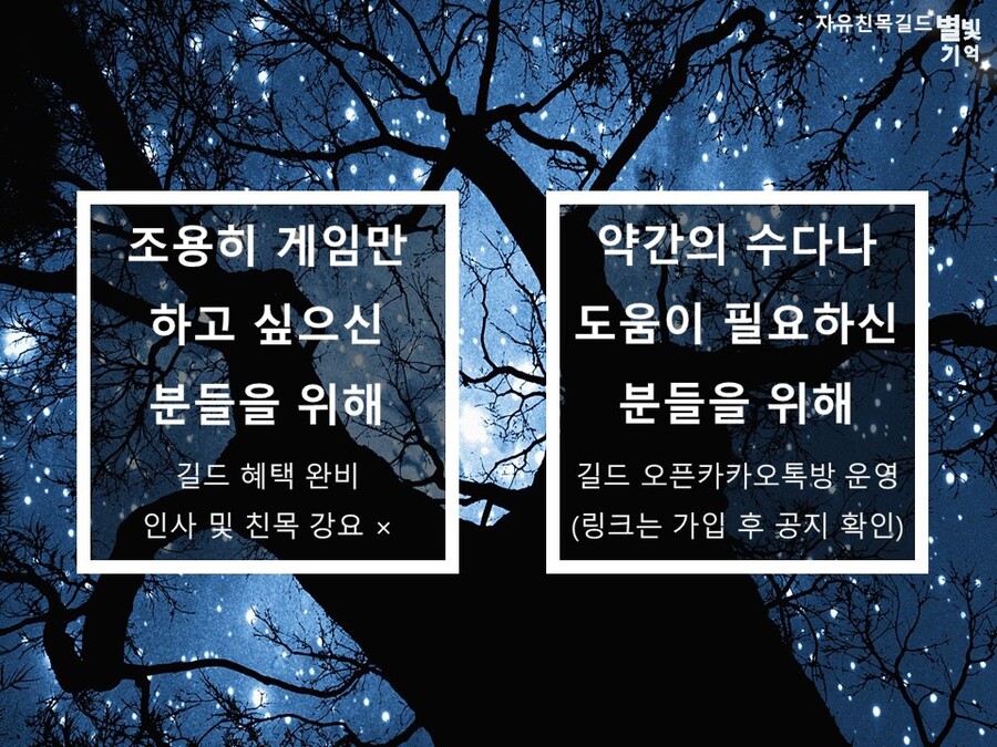 [성인자유친목길드] 별빛기억에서 함께하실 분들을 모집합니다._2.jpg