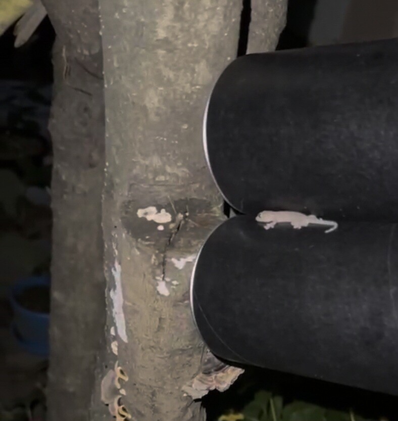 시1발 누구세요 내 집에서 나가_3.jpg