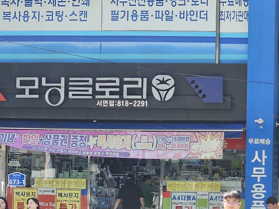 모닝글로리