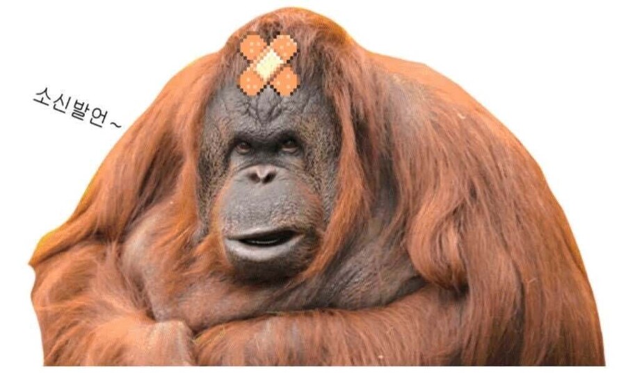 (정성글)오싹오싹 택견 근현대사 9편 - 결련택견협회의 내전과 위대태껸의 등장 -_23.jpeg