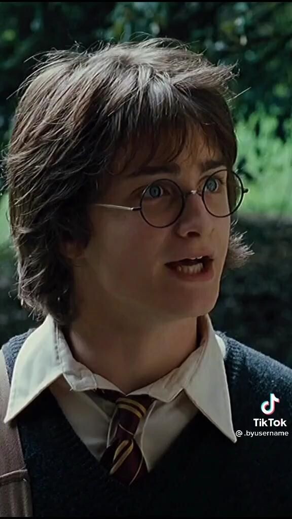 해리포터) 덤블도어가 스네이프의 진실을 숨긴 이유_15.jpg