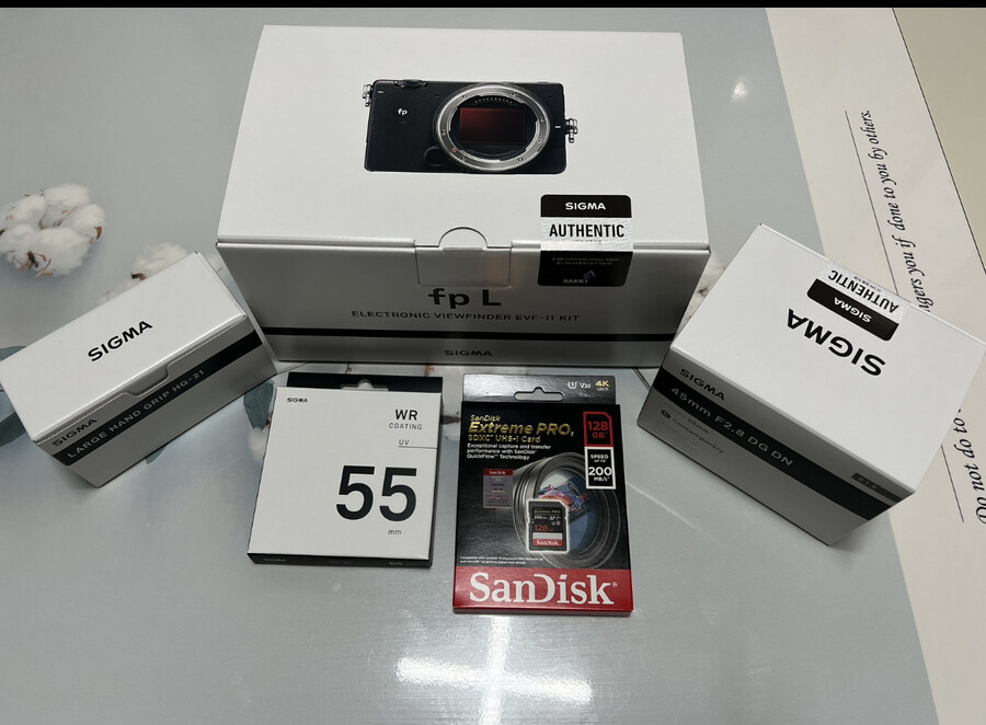 시그마 fp L_1.jpeg