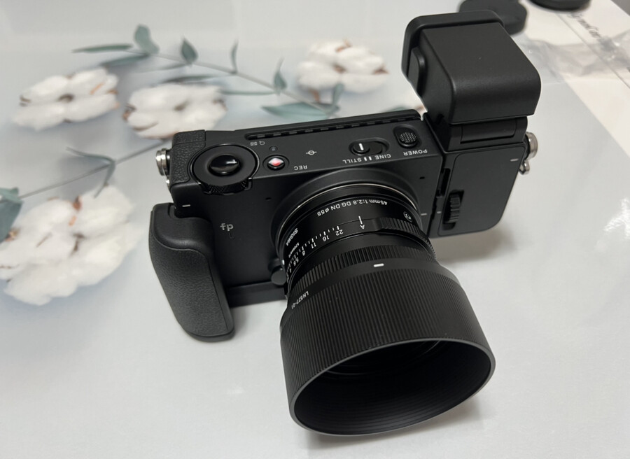 시그마 fp L_5.jpeg