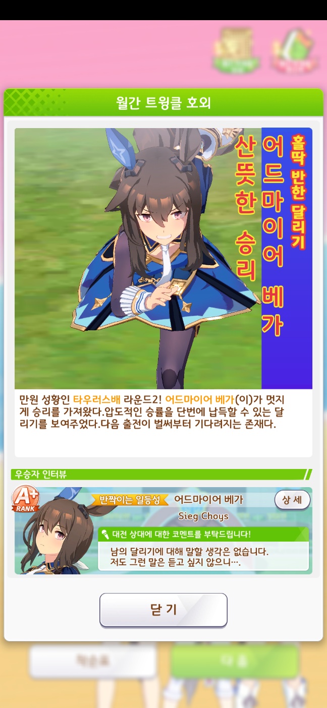 [말] 어드마이어 베가 특집_8.jpg