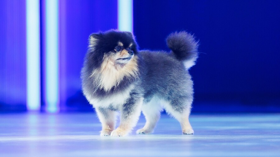 BTS) 엠카운트다운 무대 녹화한 뷔_3.jpg