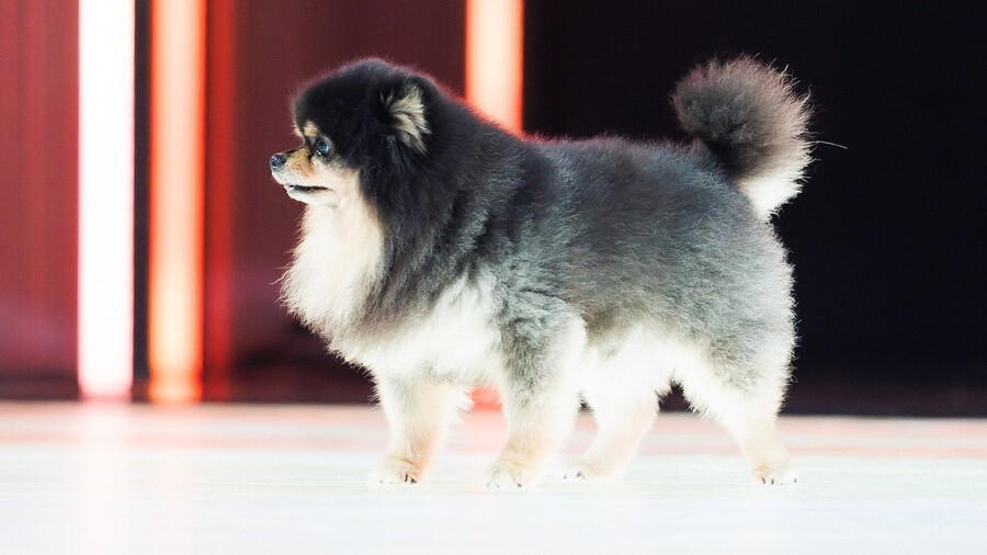 BTS) 엠카운트다운 무대 녹화한 뷔_5.jpg