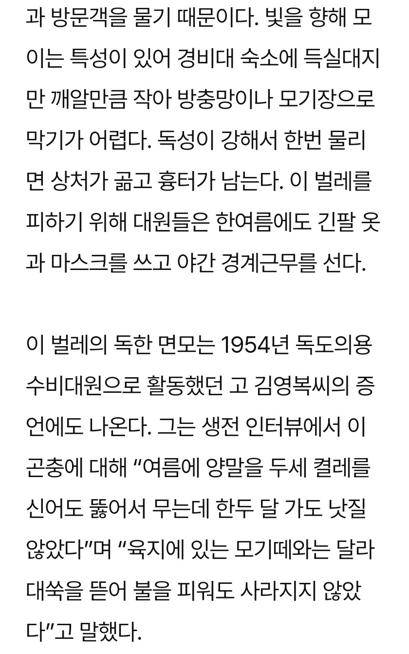 독도)점등에모기가 무서운 이유_2.jpg
