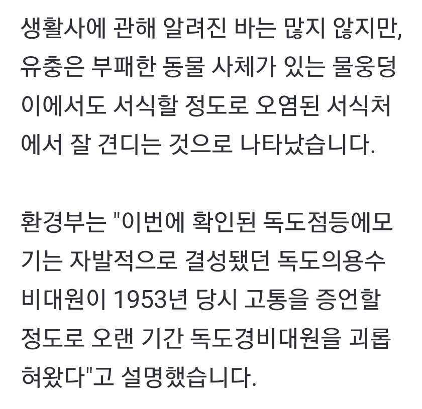 독도)점등에모기가 무서운 이유_4.jpg