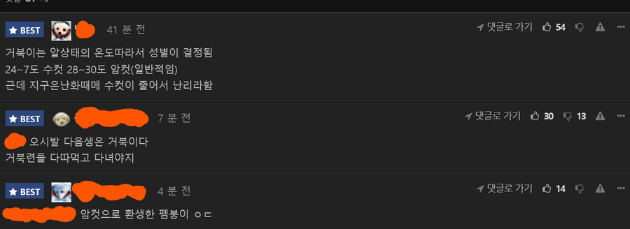 호주에서 발견된 64,000마리 바다 거북 ㄷㄷㄷㄷ_2.png