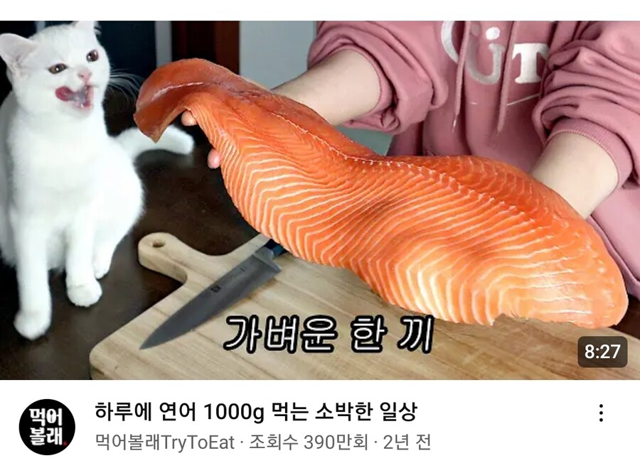 지나칠 수 없던 섬네일 | 유머 게시판 지나칠 수 없던 섬네일 | 유머 게시판 | 루리웹