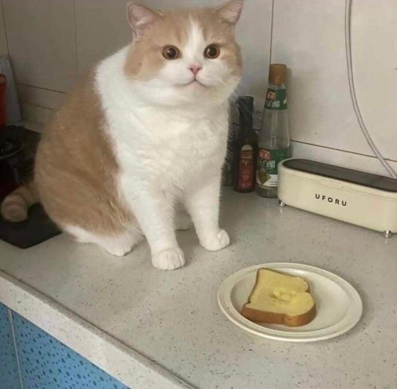 ??? : 근데 어쩔건데? 니가 뭘 할 수 있는데_2.jpg