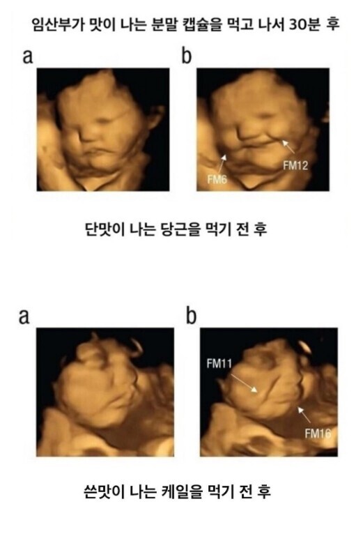 임신중 아기가 먹고 싶어한다는 말이 맞다는 증거_1.jpg