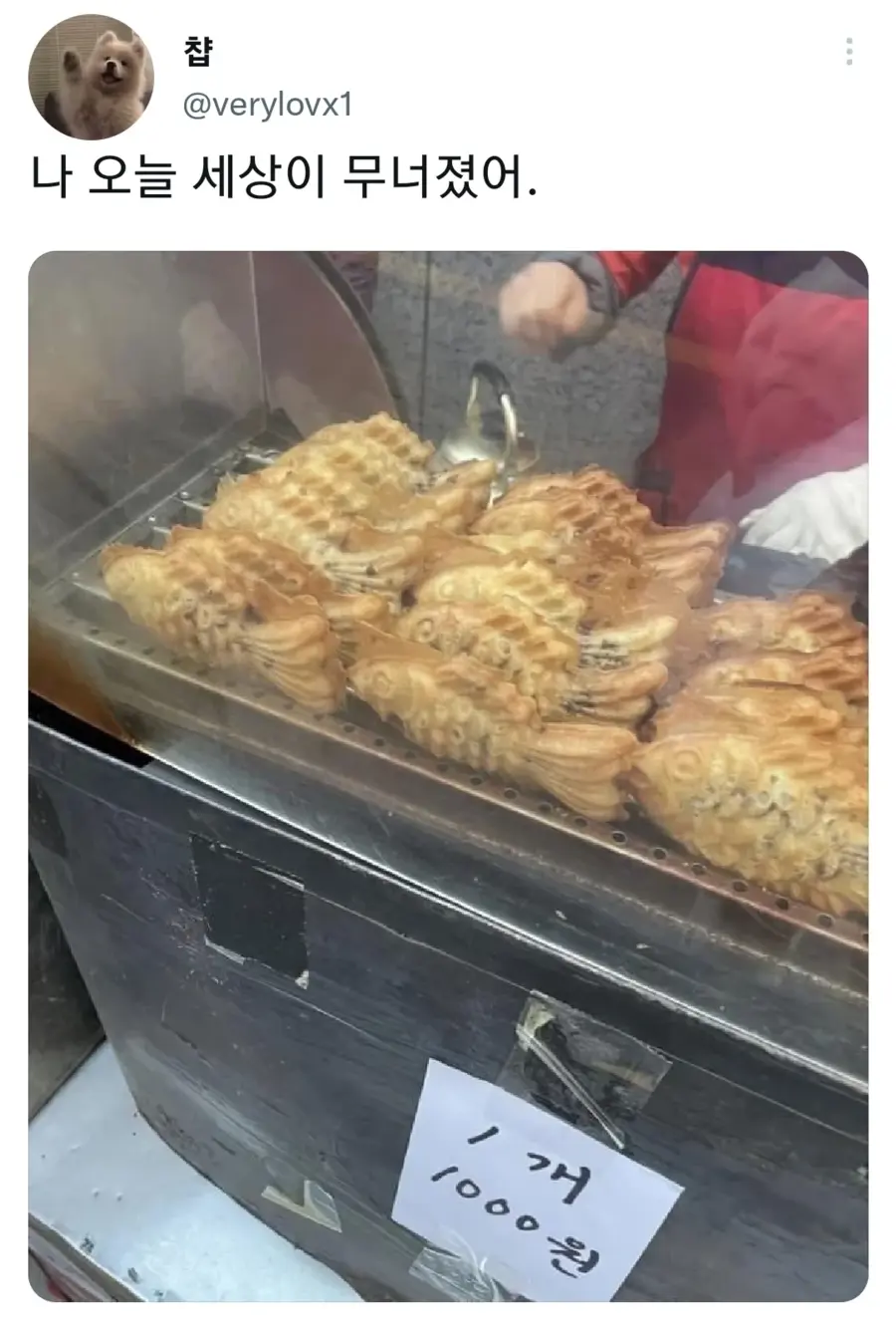 오늘 내 세상이 무너졌어.jpg_1.webp